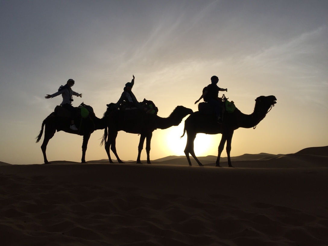 Camel Riding Sahara Desert